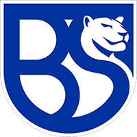 UNION BRESCIA